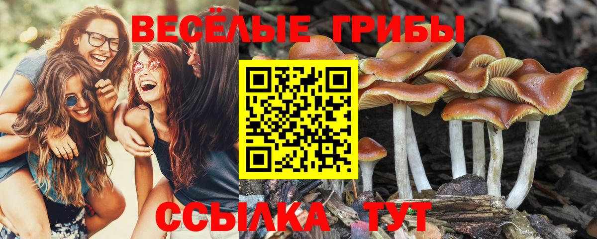 Галлюциногенные грибы GOLDEN TEACHER Артём
